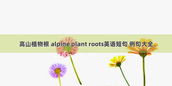 高山植物根 alpine plant roots英语短句 例句大全
