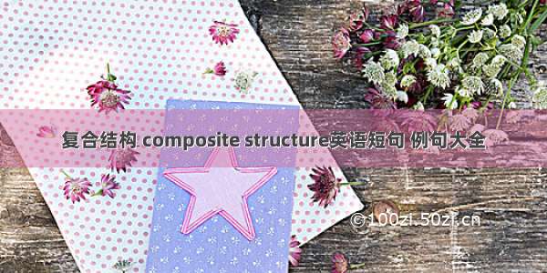 复合结构 composite structure英语短句 例句大全