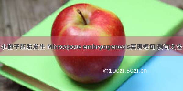 小孢子胚胎发生 Microspore embryogenesis英语短句 例句大全