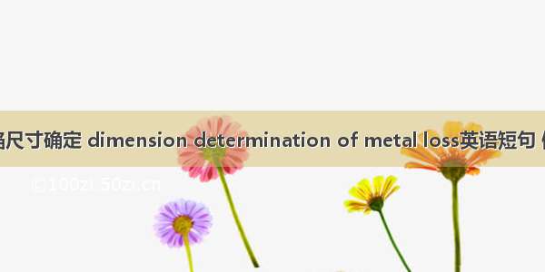 管道缺陷尺寸确定 dimension determination of metal loss英语短句 例句大全