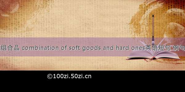 软硬组合品 combination of soft goods and hard ones英语短句 例句大全