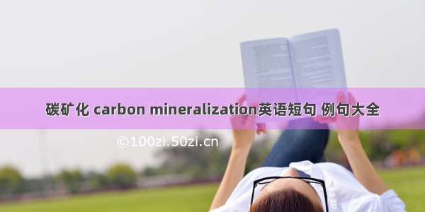 碳矿化 carbon mineralization英语短句 例句大全