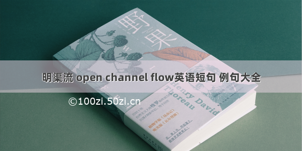 明渠流 open channel flow英语短句 例句大全