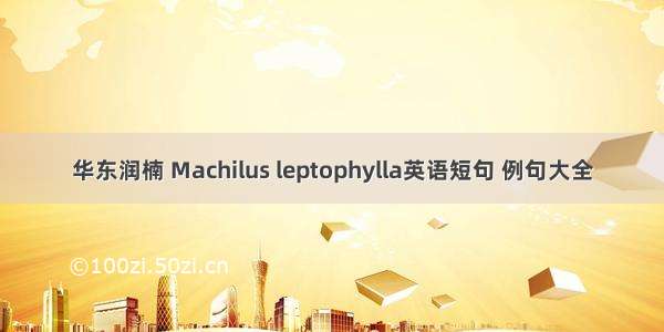 华东润楠 Machilus leptophylla英语短句 例句大全