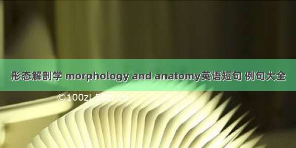 形态解剖学 morphology and anatomy英语短句 例句大全