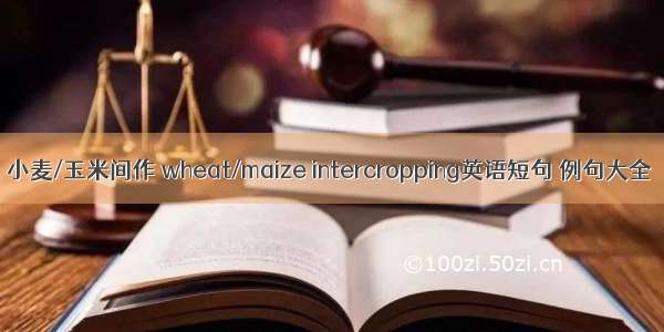 小麦/玉米间作 wheat/maize intercropping英语短句 例句大全