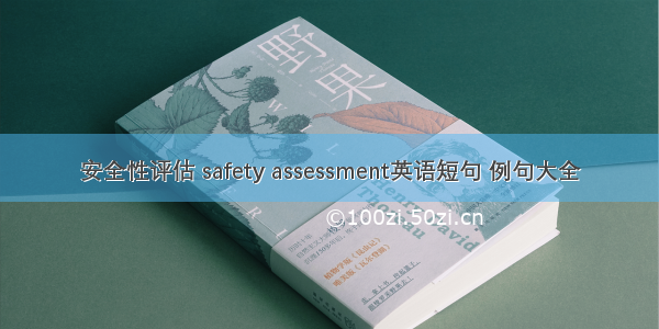 安全性评估 safety assessment英语短句 例句大全