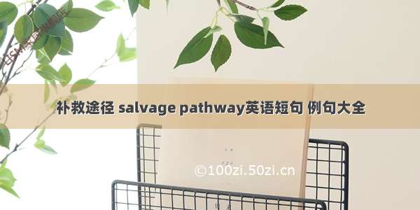 补救途径 salvage pathway英语短句 例句大全