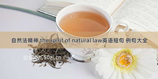 自然法精神 the spirit of natural law英语短句 例句大全