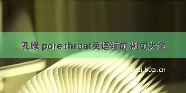 孔喉 pore throat英语短句 例句大全