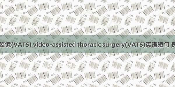 电视胸腔镜(VATS) video-assisted thoracic surgery(VATS)英语短句 例句大全