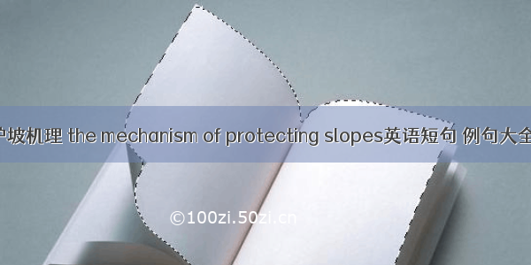 护坡机理 the mechanism of protecting slopes英语短句 例句大全