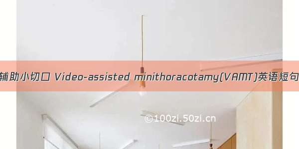 电视胸腔镜辅助小切口 Video-assisted minithoracotamy(VAMT)英语短句 例句大全