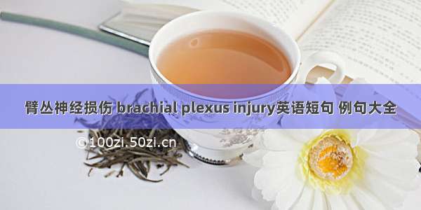 臂丛神经损伤 brachial plexus injury英语短句 例句大全