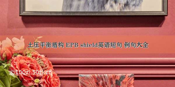 土压平衡盾构 EPB shield英语短句 例句大全