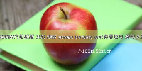 300MW汽轮机组 300 MW steam turbine unit英语短句 例句大全