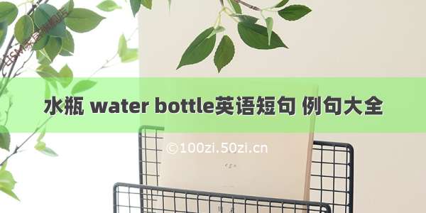 水瓶 water bottle英语短句 例句大全