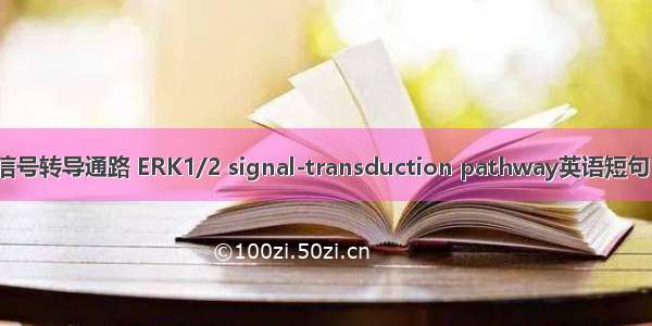 ERK1/2信号转导通路 ERK1/2 signal-transduction pathway英语短句 例句大全