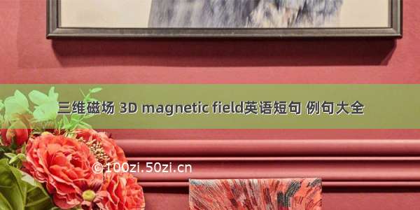 三维磁场 3D magnetic field英语短句 例句大全