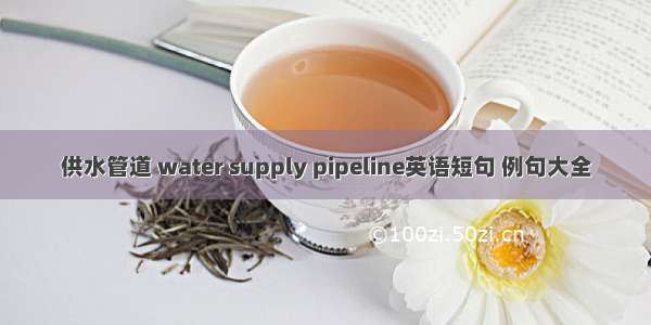 供水管道 water supply pipeline英语短句 例句大全