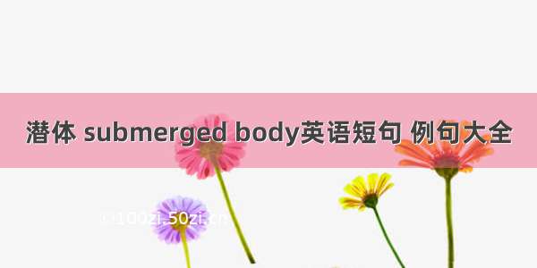 潜体 submerged body英语短句 例句大全