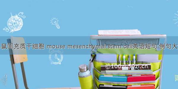 小鼠间充质干细胞 mouse mesenchymal stem cell英语短句 例句大全