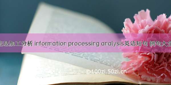 信息加工分析 information processing analysis英语短句 例句大全