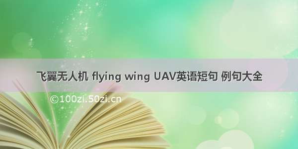 飞翼无人机 flying wing UAV英语短句 例句大全