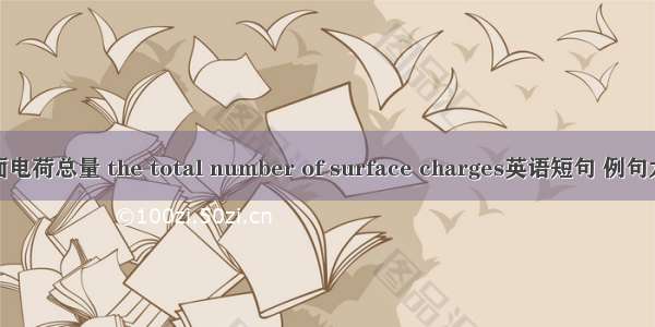 表面电荷总量 the total number of surface charges英语短句 例句大全