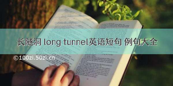 长隧洞 long tunnel英语短句 例句大全