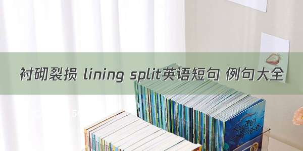 衬砌裂损 lining split英语短句 例句大全