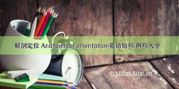 解剖定位 Anatomical orientation英语短句 例句大全