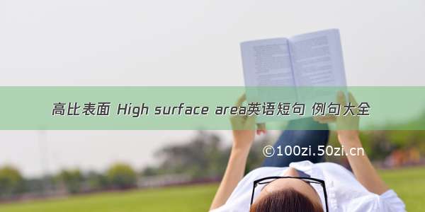 高比表面 High surface area英语短句 例句大全