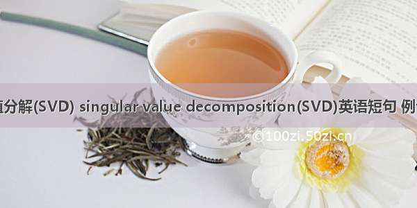 奇异值分解(SVD) singular value decomposition(SVD)英语短句 例句大全