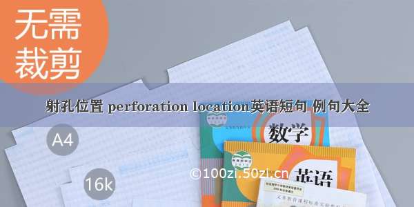 射孔位置 perforation location英语短句 例句大全