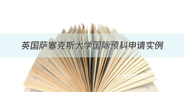 英国萨塞克斯大学国际预科申请实例