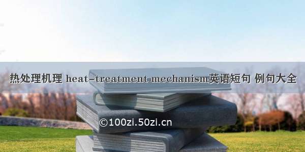 热处理机理 heat-treatment mechanism英语短句 例句大全