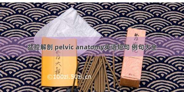 盆腔解剖 pelvic anatomy英语短句 例句大全