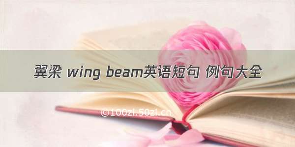 翼梁 wing beam英语短句 例句大全