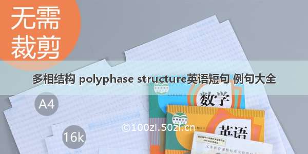 多相结构 polyphase structure英语短句 例句大全
