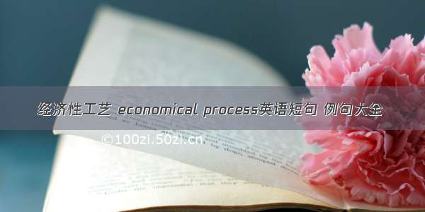 经济性工艺 economical process英语短句 例句大全