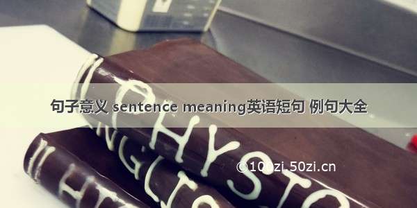 句子意义 sentence meaning英语短句 例句大全
