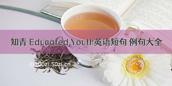 知青 Educated Youth英语短句 例句大全