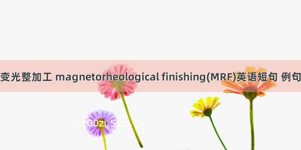 磁流变光整加工 magnetorheological finishing(MRF)英语短句 例句大全