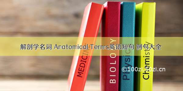 解剖学名词 Anatomical Terms英语短句 例句大全