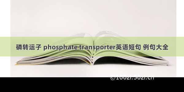 磷转运子 phosphate transporter英语短句 例句大全