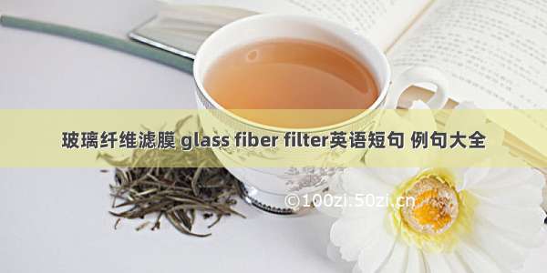 玻璃纤维滤膜 glass fiber filter英语短句 例句大全