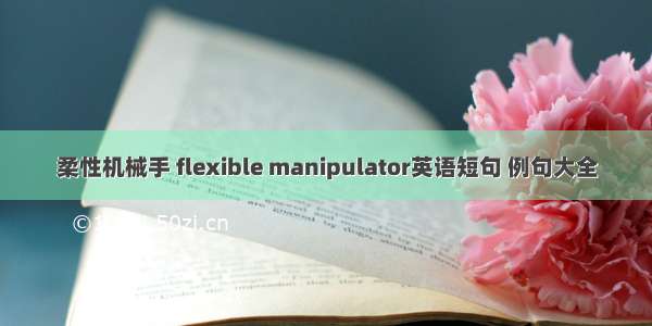 柔性机械手 flexible manipulator英语短句 例句大全