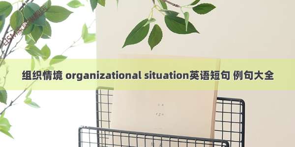 组织情境 organizational situation英语短句 例句大全