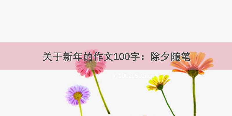 关于新年的作文100字：除夕随笔